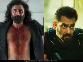 Ranbir Kapoor and Salman Khan 