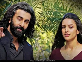 Ranbir Kapoor and Triptii Dimri 