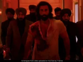 Ranbir Kapoor Animal 