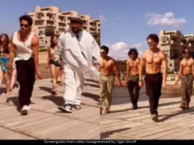 Tiger Shroff fighter 