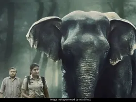 Poacher trailer out now 