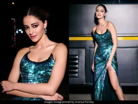 Ananya Panday 