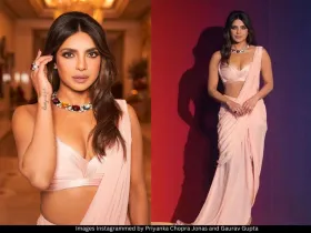 Priyanka Chopra Jonas