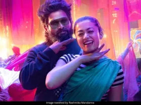 Allu Arjun and Rashmika Mandanna 