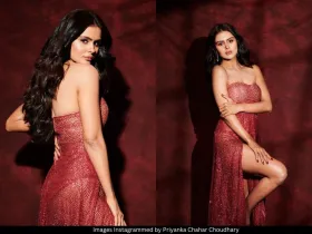 Priyanka Chahar Choudhary 