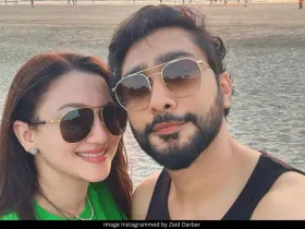 Gauahar Khan and Zaid Darbar 