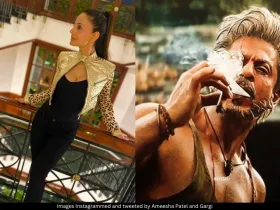 Ameesha Patel and SRK 