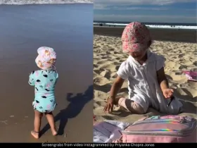 Priyanka Chopra Jonas 