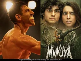 Chandu Champion and Munjya 