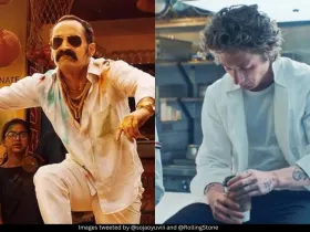 Aavesham and The Bear 