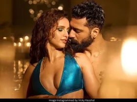 Triptii Dimri and Vicky Kaushal 