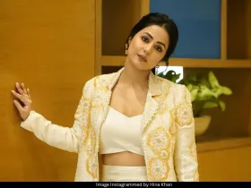 Hina Khan 
