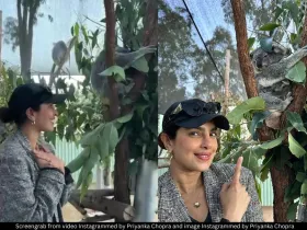 Priyanka Chopra koala 