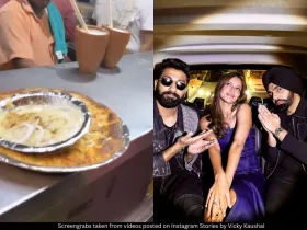 Vicky Kaushal Triptii Dimri Ammy Virk