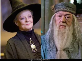 Maggie Smith and Michael Gambon 