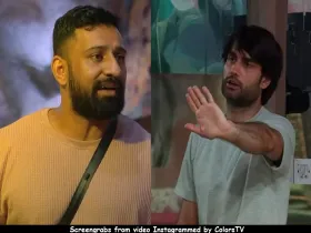 Rajat Dalal and Vivian D'Sena 