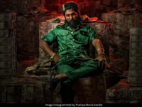 Pushpa 2 The Rule poster