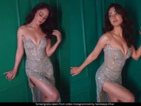  Sandeepa Dhar 