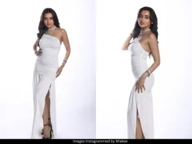  Tejasswi Prakash