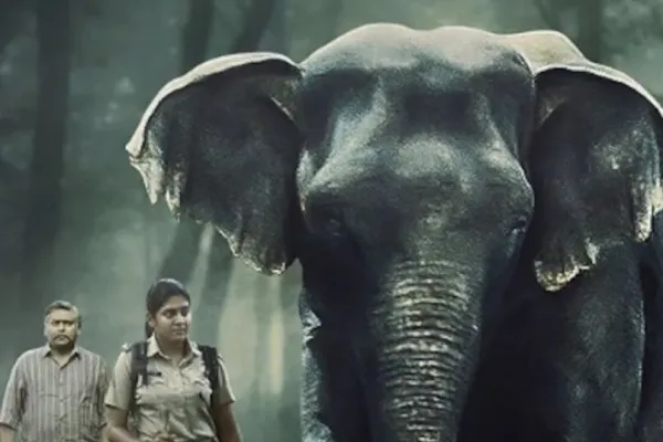 Poacher trailer out now 