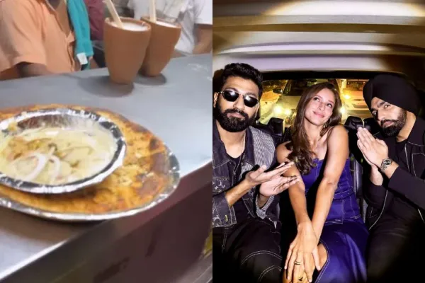 Vicky Kaushal Triptii Dimri Ammy Virk