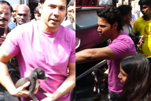 Varun Dhawan 